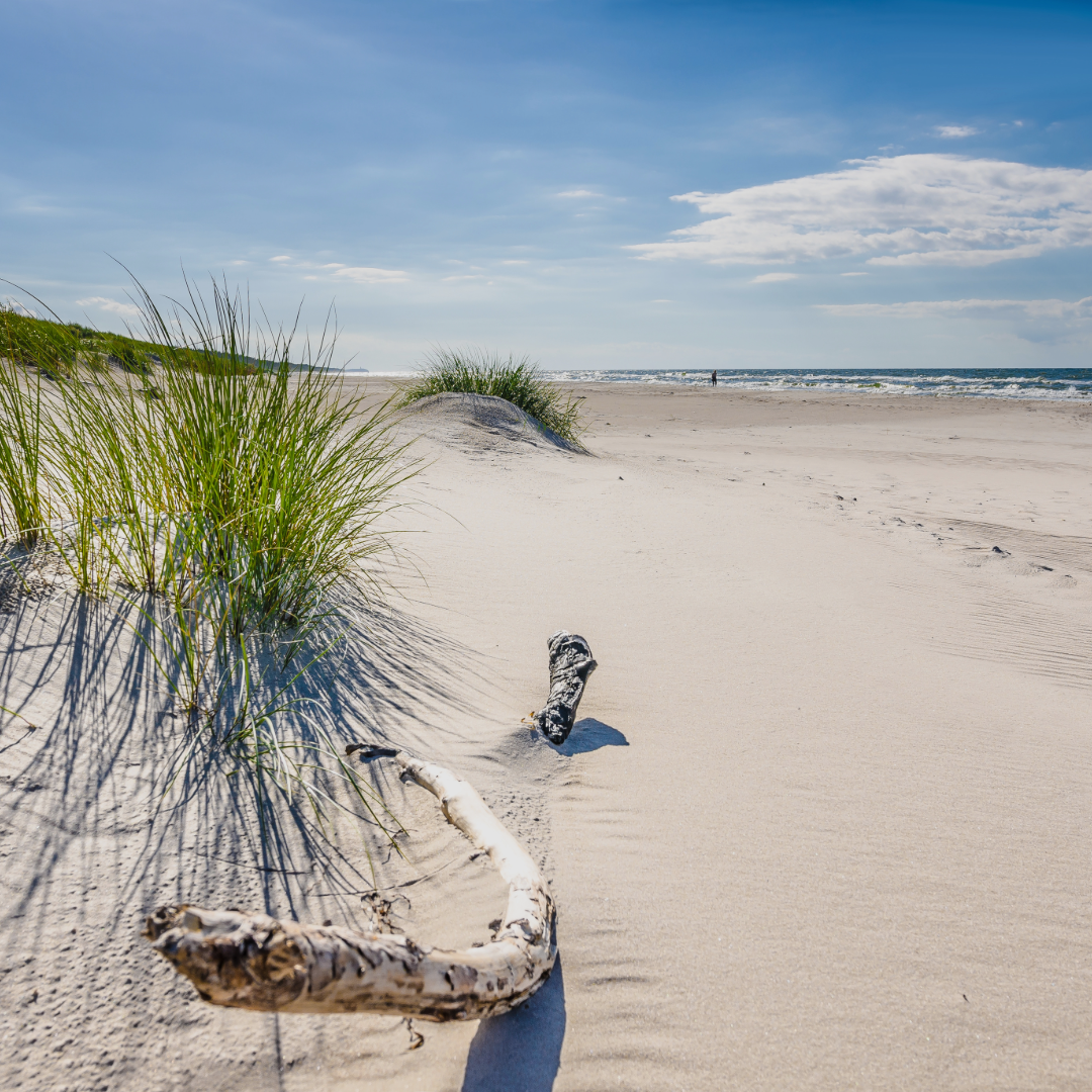 Strand in den Dünen bei Sonnenschein
