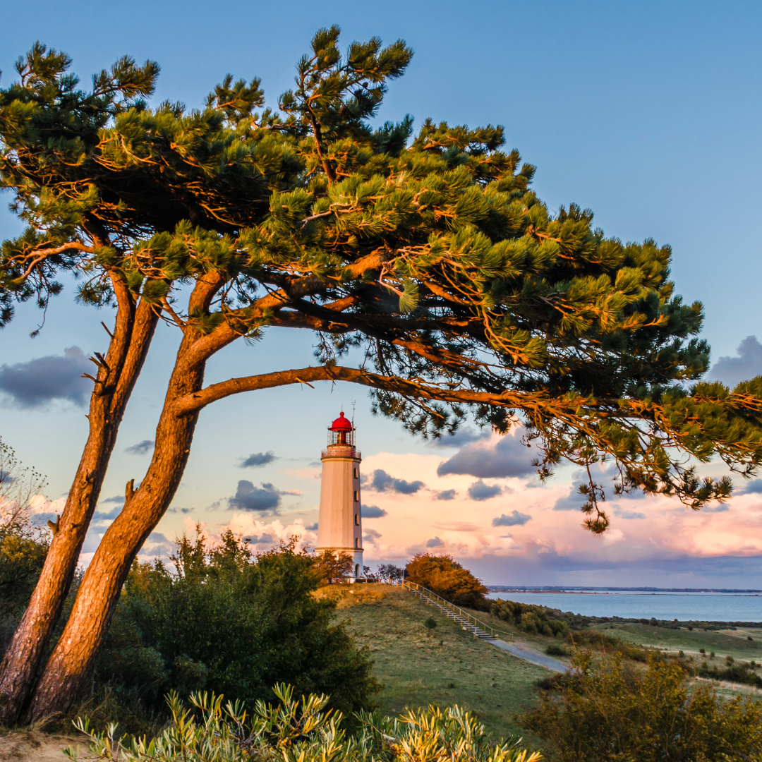 Hiddensee Insel in der Ostsee