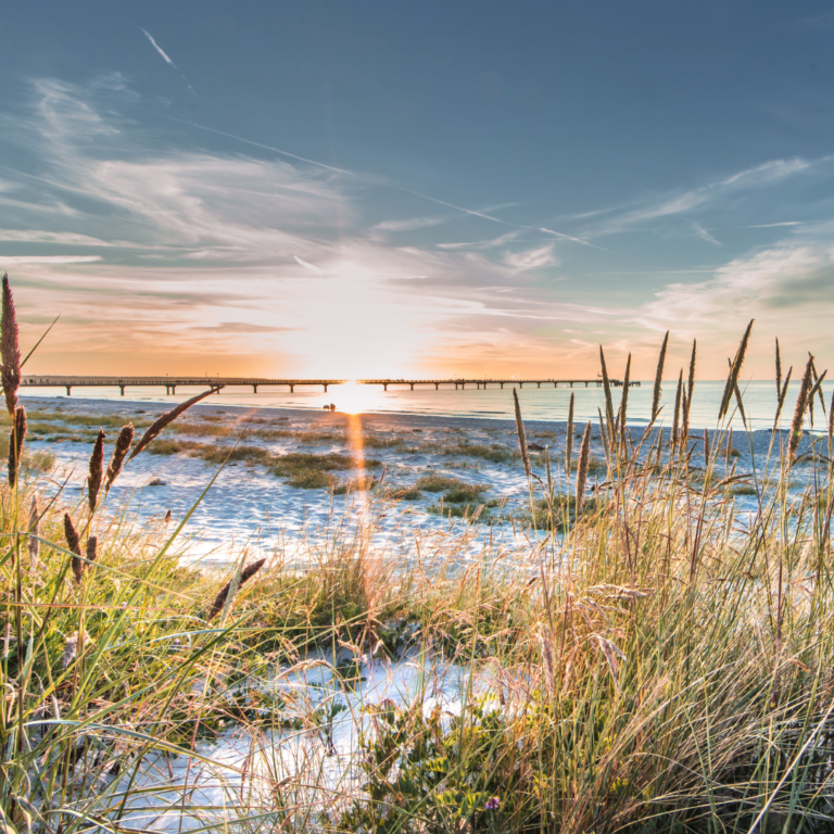 Entdecke die Ostsee