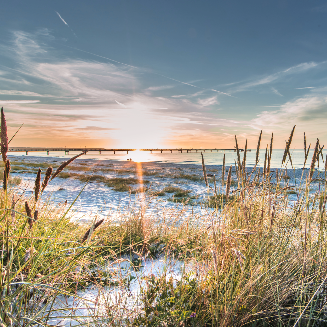 Strand an der Ostsee | Wir lieben die Ostsee