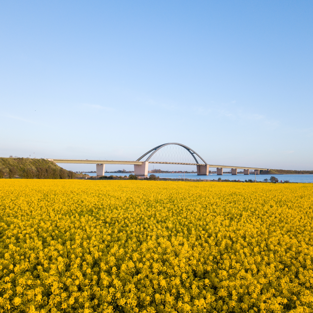 Fehmarn Insel auf der Ostsee